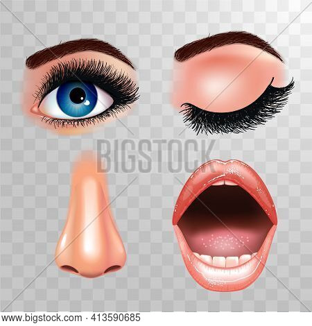 Set Of Beautiful Female Eyes With Extended Eyelashes, Nose And Smiling Mouth With Glossy Lips. Check