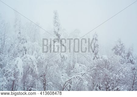 Winter Blizzard In The Driving North Empty Road Landscape With White Trees And Snow With Fog In The 