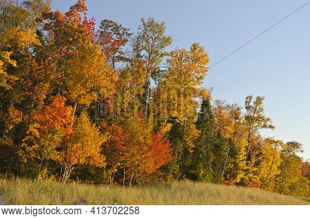Autumn Color Dominates The Shore Of Lake Superior Twelve Mile Beach In Pictured Rocks National Lakes