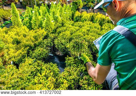 Professional Caucasian Gardener In His 30s Looking For Best Rockery Plants For His Clients Garden Pr
