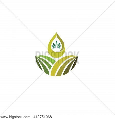 Vector Illustration. Logo With The Concept Of Hemp Marijuana Oil From The Plantation Itself. Medical