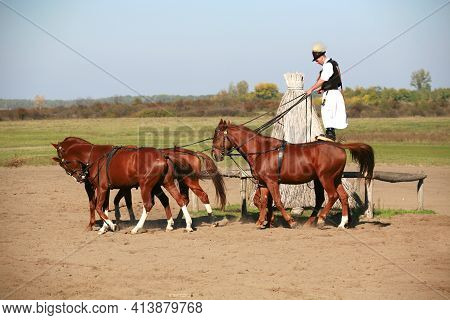 Puszta, Hungary, September, 04. 2020: Hungarian Csikos In Traditional Folk Costume Showing His Train