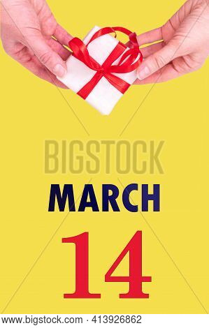March 14th. Festive Vertical Calendar With Hands Holding White Gift Box With Red Ribbon And Calendar