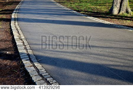 Asphalt Road Through The Park In The Woods. Serves As A Recreational Promenade For Inline Skating An