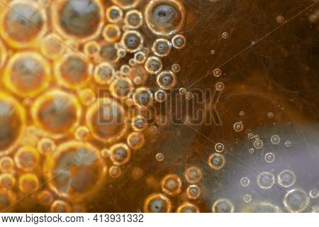 Macro Shot Of Algae In Water With Droplet. Science, Biology Background Concept, Orange Colored