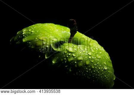 Fresh Green Apple With Water Drops On Dark Background