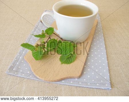 Hazelnut Leaf Tea And A Twig With Young Hazel Leaves