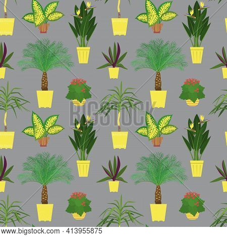 Seamless Pattern With Potted Tropical House Plants In Colorful Flower Pots
