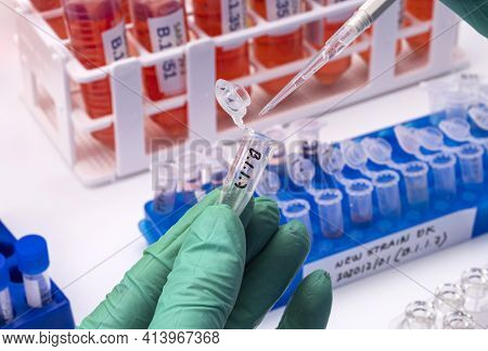 Laboratory Research New Strain Of British Sars-cov-2 Scientifically Named Voc 202012/01 (b.1.1.7), C