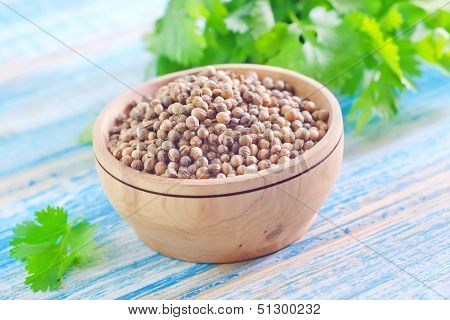 coriander