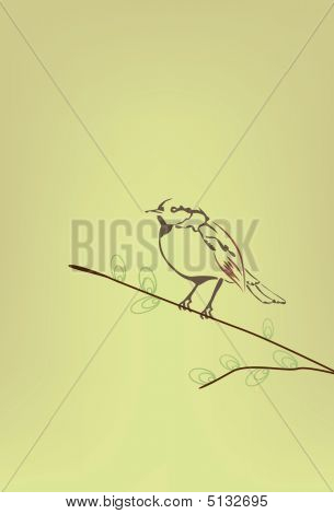 Pájaro pequeño