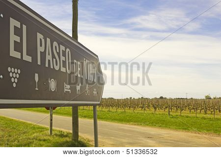 The Wine Walk, Uruguay