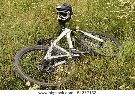 Bicycle In The Grass