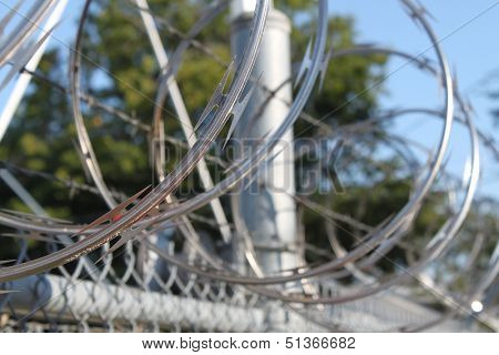Barbwire and razor wire fence