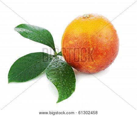 Blood Orange With Green Leaves Isolated On White Background.