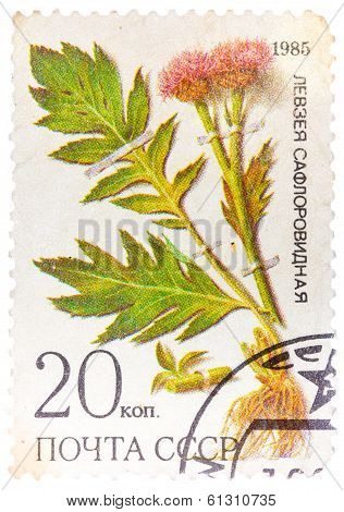 Stamp From Ussr, Shows Medicinal Plant From Siberia