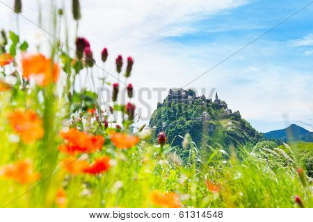 Hochosterwitz Castle And Poppy Flowers