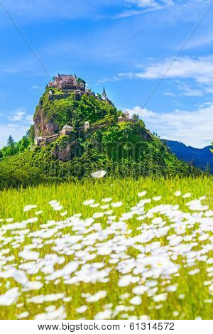 Hochosterwitz Castle And Chamomile Field