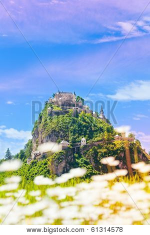 Hochosterwitz And Chamomile Flowers Fields