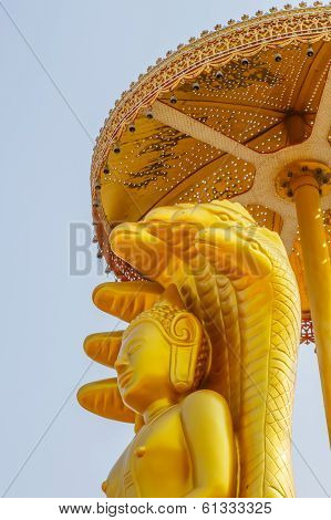 Buddha Statue