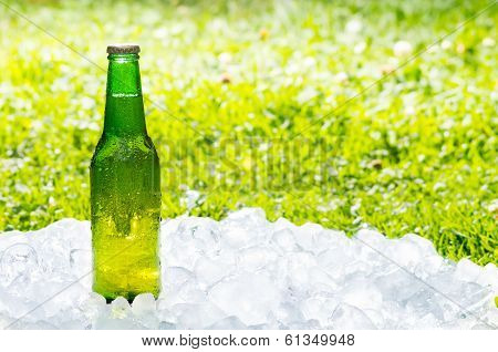 one beer and garden in the summmer