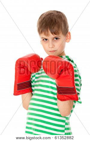 Angry Boy Pugilist