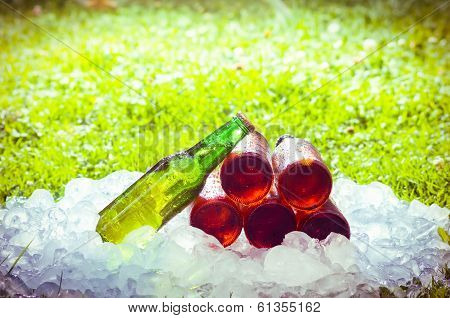 beer and ice,  out of focus grass with an intense shinny light
