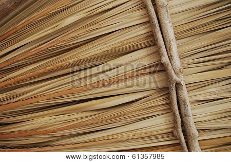Palapa texture background