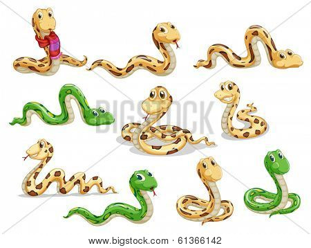 Illustration of a group of voluptous snakes on a white background