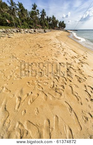 Negombo Beach, Sri Lanka