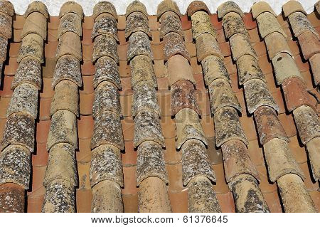 Pantiled Roof