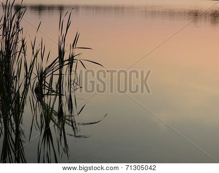 Rush And Its Reflection