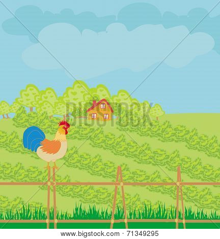 Rural Landscape With Roster