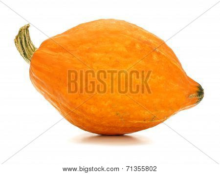 Hubbard squash