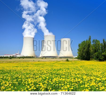 Nuclear power plant