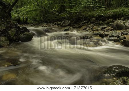 By The River