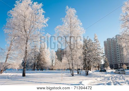 Winter In Moscow, Russia