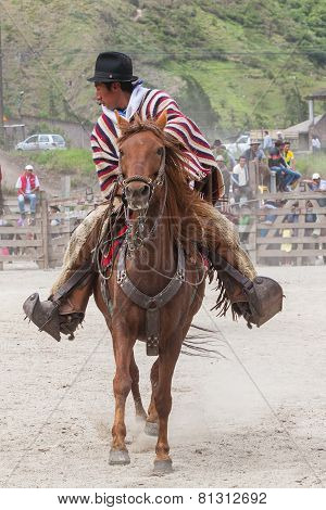 Young Boy Riding A Horse