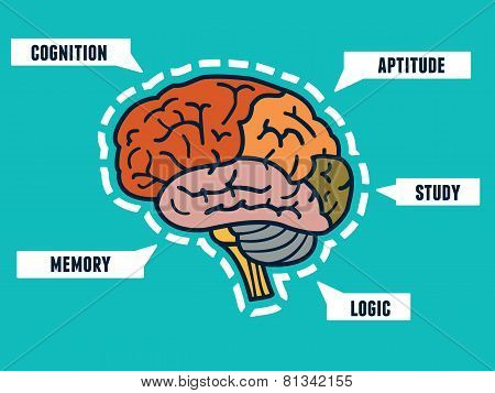 Capabilities Of The Human Brain. Mindmap And Infocharts