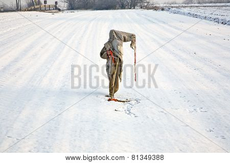 Sad, Ragged  And Freezing Scarecrow In Winter On The Snowfield