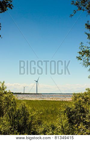 Windmills In The Distance