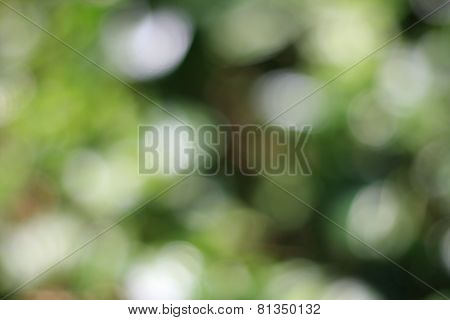 Blur Abstract background