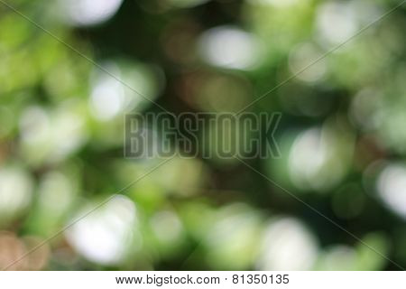 Blur Abstract background