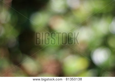 Blur Abstract background
