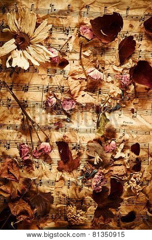 Dry Roses On Vintage Paper Background