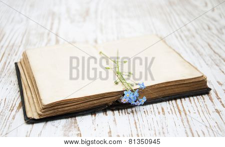 Old Book