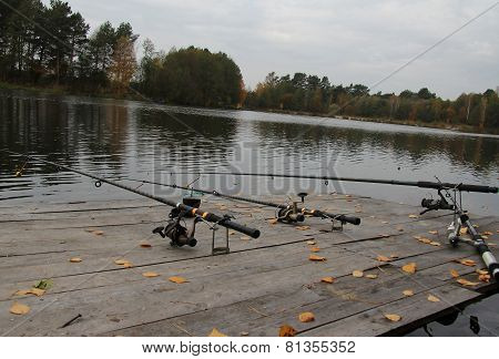 Fishing Rod