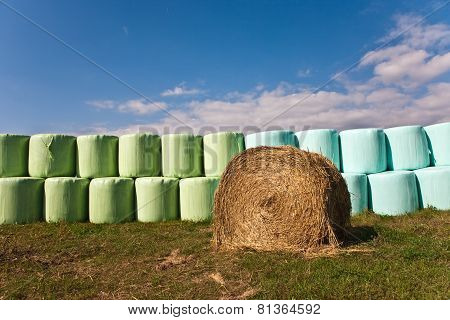 Bale Of Straw Infold In Plastic Film (foil) To Keep Dry In Automn In Intensive Colors