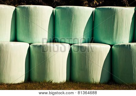 Bale Of Straw Infold In Plastic Film (foil) To Keep Dry In Automn In Intensive Colors