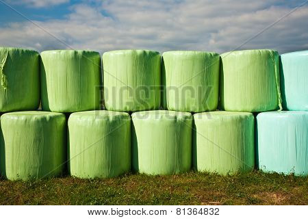 Bale Of Straw Infold In Plastic Film (foil) To Keep Dry In Automn In Intensive Colors